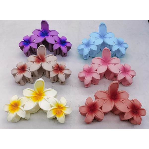 Fashion Alley 10.5 Cm Matt Hair Claw For Women Pack Of 12