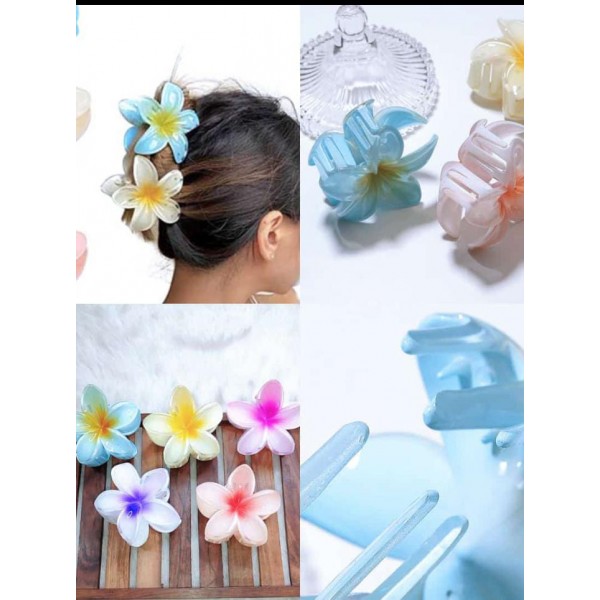 Fashion Alley Small Size Hair Claw [Pack Of 12]