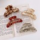 Fashion Alley 10 Cm Hair Claw For Women Pack Of 12