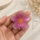 Fashion Alley 7Cm Hair Claw for women Pack of 12
