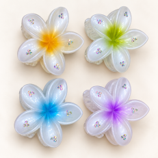 Fashion Alley 7.5 Cm Hair Claw For Women Pack Of 12 Pc