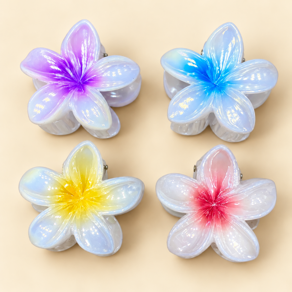 Fashion Alley 4 Cm Hair Claw For Women Pack Of 12 Pc