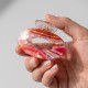 Fashion Alley 4.5 Cm Hair Claw For Women Pack Of 12 Pc