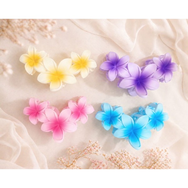 Fashion Alley 10.5 Cm Matt Hair Claw For Women Pack Of 12