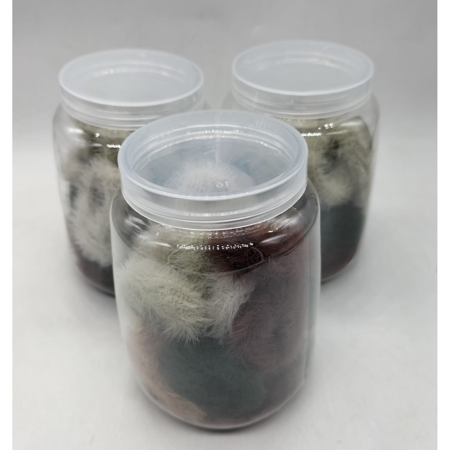 Fashion Alley Rubber Band For Kids Pack Of 30 Pc 